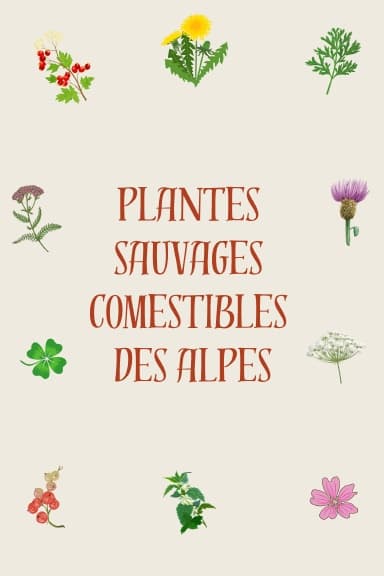 Couverture du livre « Plantes sauvages comestibles des Alpes »